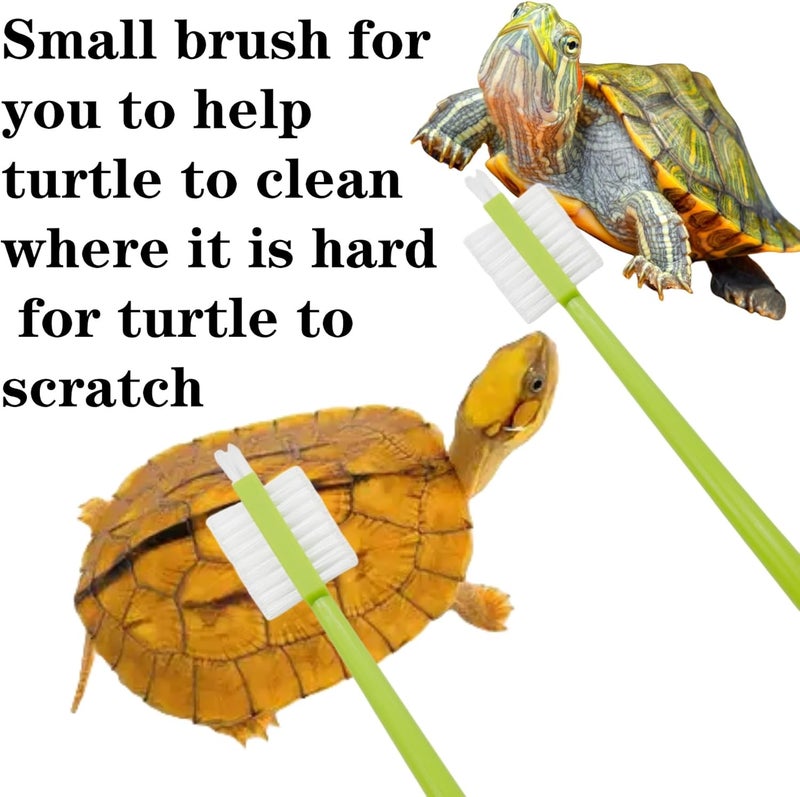 Odebyata Turtle Brush with Strong Suction Cup,Turtle Back Clean Brush to Remove Mud Dirt,Turtle Owners Lovers Accessories for Turtle Tank Turtle Habitat, Turtle Shell Clean Brush Tools - Image 5
